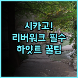 하얏트 리젠시 시카고 시카고 리버워크 관광에 최적화된 대규모 럭셔리 호텔 추천