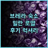 밀란 로열 스위트 브레라 추천 후기 밀라노 중심 브레라 지구 최고의 선택 특별한 체크인 경험 밀라노숙소 브레라지구 럭셔리