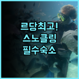 Redang Holiday Beach Resort 후기 스노클링 투어가 체계적인 르당 최고의 숙소 추천
