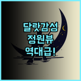 Hôtel De Da Phu 달랏의 평온한 정원 뷰가 아름다운 감성 숙소 추천