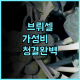 a&o 브뤼셀 센트럼 가성비 호텔 추천 유럽 여행자의 접근성과 청결함이 돋보이는 곳