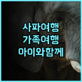 므엉 탄 사파 호텔 사파여행 가족여행 아이와 함께! 잊지 못할 추억 추천후기