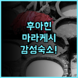 마라케시 후아힌 리조트 스파 후기 이국적인 모로코 스타일 감성 숙소 추천