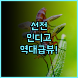 호텔 인디고 선전 오버시스 차이니즈 타운 후기! 수영장 뷰와 디자인이 완벽한 선전 숙소 추천