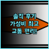 몬테 카를로 비치 추천 후기 럭셔리 끝판왕! 꿈같은 휴가 모나코여행 프리미엄호텔 강력추천