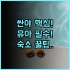 호텔 인디고 두바이 다운타운 IHG 호텔 아르데코 디자인 감각적인 럭셔리 숙소 추천