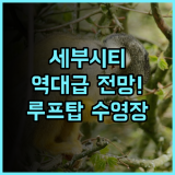메트로 파크 호텔 야외 수영장과 루프탑 전망이 완벽한 세부 시티 숙소 후기 추천