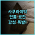 플로리스트 아유타야 추천! 유네스코 사원 뷰가 완벽한 신규 숙소 후기