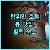 랑위안 호텔 특별한 뷰 맛집! 진정한 힐링 숙소 추천 후기 자연 휴식 만족