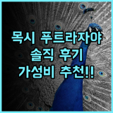 목시 푸트라자야 솔직후기 트렌디한 디자인과 합리적인 가격에 만족 가성비 인스타감성 강력추천