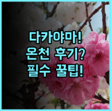 히다 다카야마 온센 다카야마 그린 호텔 실제 이용후기 숙소 팁