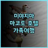 미야지마 호텔 마코토 추천 후기 친절한 서비스와 훌륭한 식사에 감탄 미야지마 가족여행 일본식객실