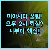 시퀀스 미야시타 파크/ 시부야 오후 2시 체크아웃으로 즐기는 시부야 여행 완벽 후기