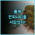 식스센스 사무이 후기! 코사무이 자연 친화적 럭셔리 리조트 추천