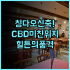 폴 샤보 호텔 유럽풍 감성과 넓은 객실이 매력적인 하이퐁 부티크 호텔 추천